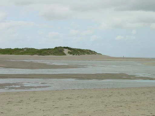 Sandy beach with shallow tidal water channels and low sand dunes covered in sparse vegetation under a partly cloudy sky.