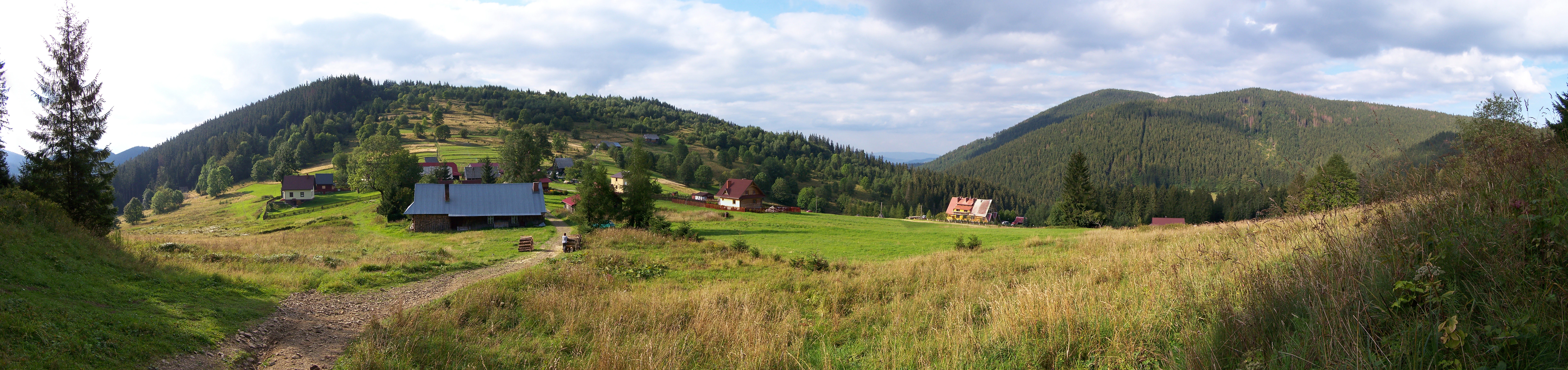 Wide panoramic shot of a grassy mountain meadow with small wooden houses, surrounded by forested hills under a cloudy sky.